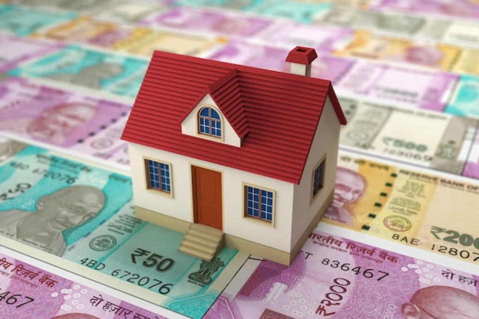 Household expense support
